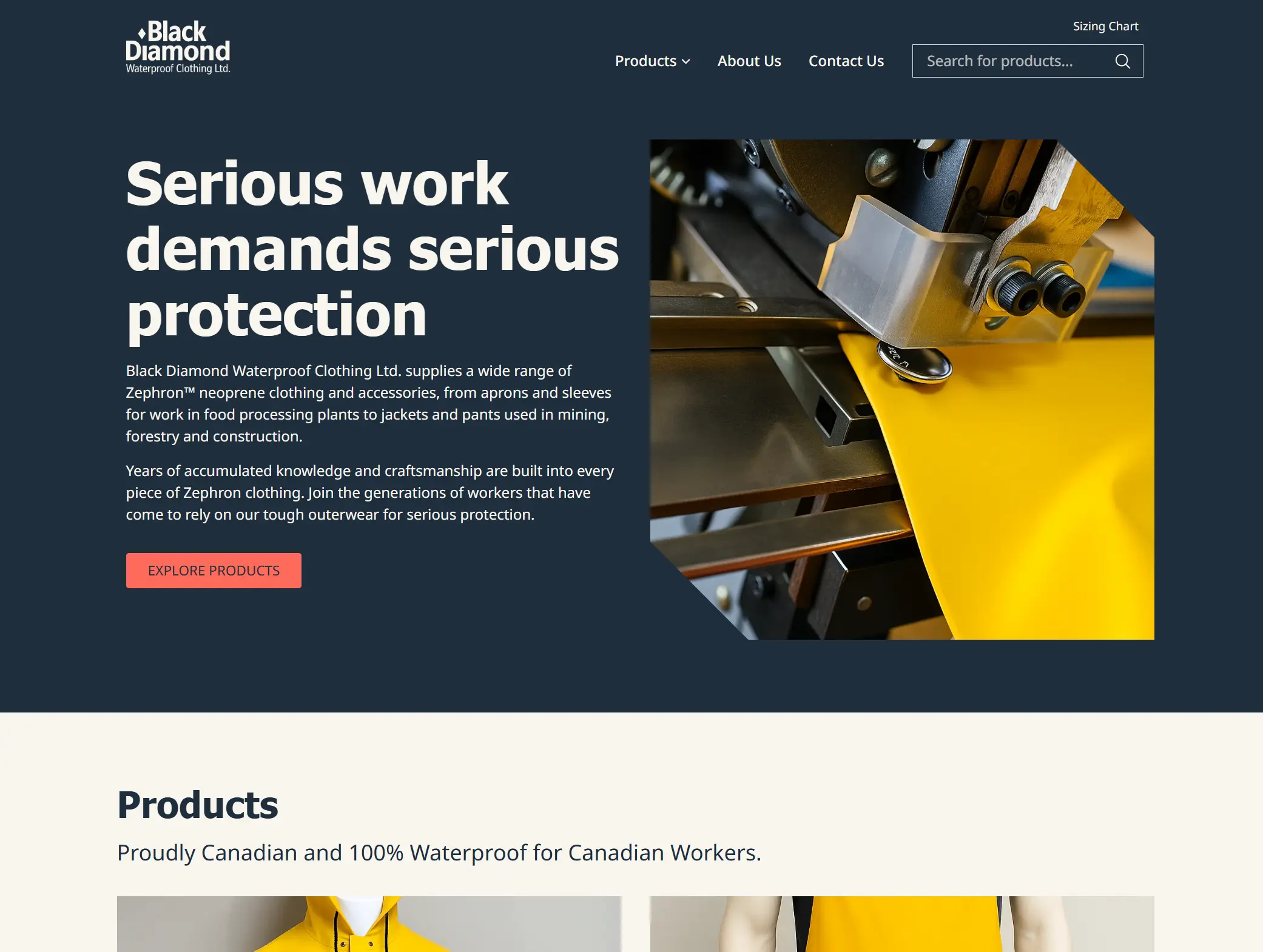 Screenshot of Zephron website homepage